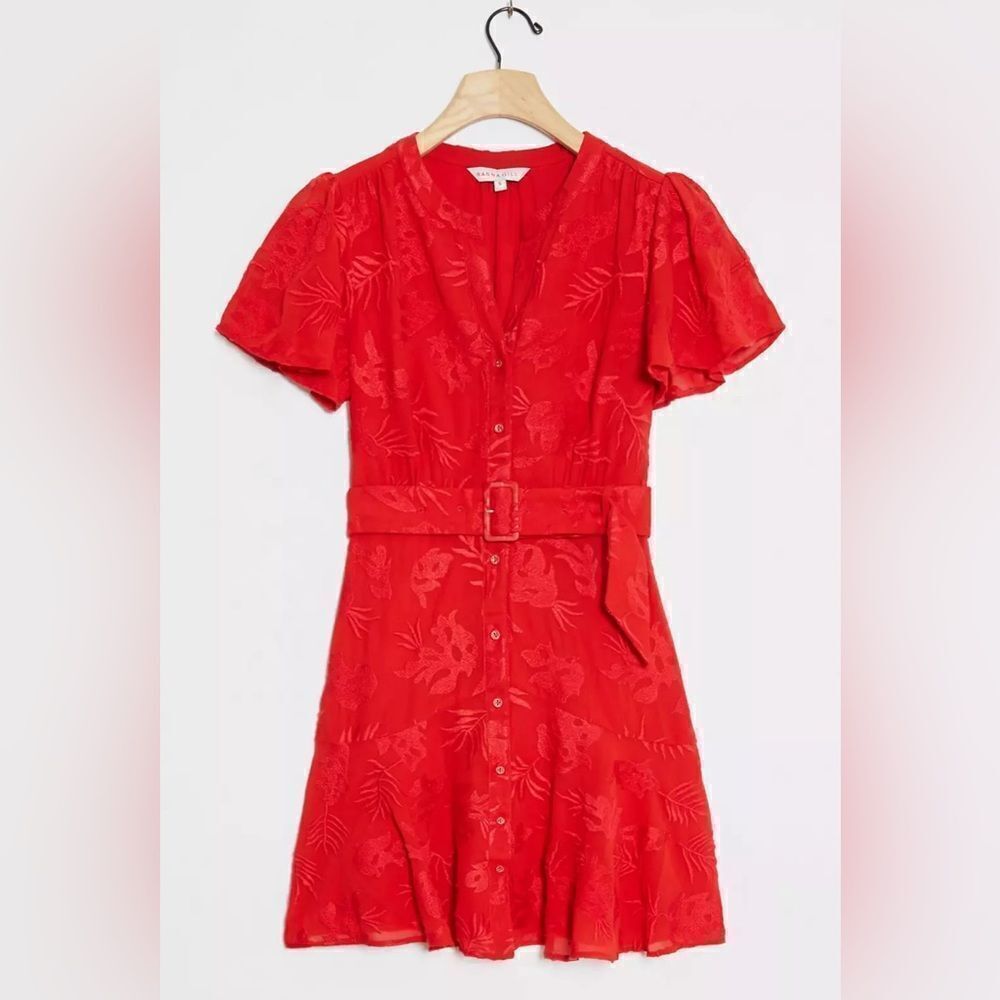 Ranna Gill Scarlette Embroidered Mini Belted Dress